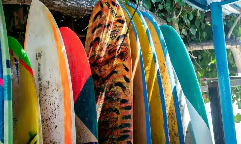 Guida completa alle parti della tavola da surf | Point Break School