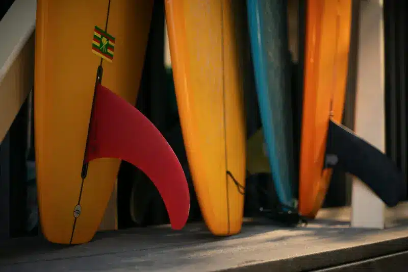 Tavole da surf | Point Break School 