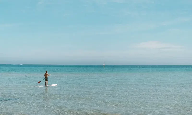 Migliora la tua Remata nel Surf: Tecniche ed Esercizi per Ottenere Potenza | Point Break School