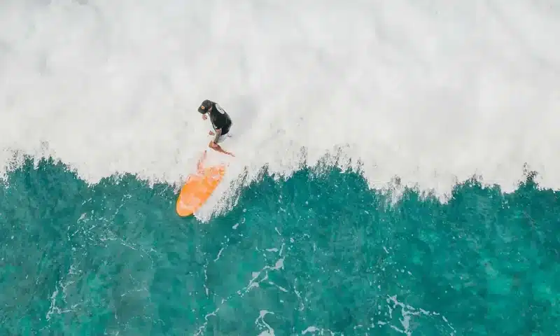 Surf softboard vs hardboard: qual è la scelta migliore per te? | Point Break School