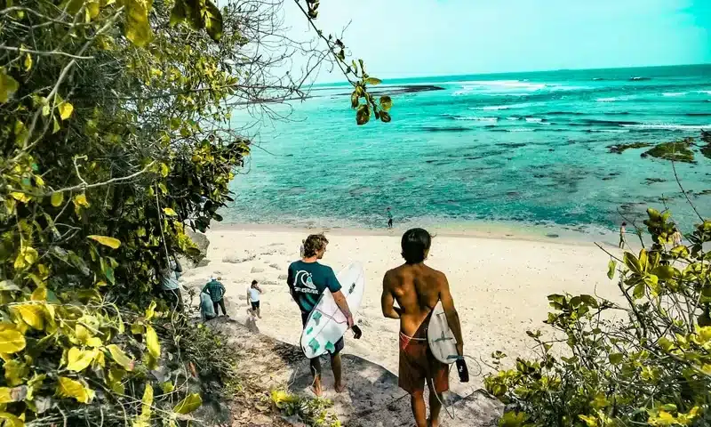 Vacanze surf: le migliori destinazioni per le tue avventure sulla tavola | Point Break School