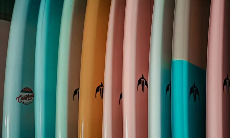 Non solo legno: Una Guida ai Materiali utilizzati per le Tavole da Surf | Point Break School