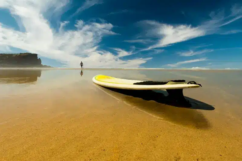 Ottimizza la Tua Performance: Consigli Essenziali su come scegliere le Pinne da Surf | Point Break School
