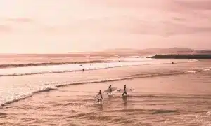 surf nocturno